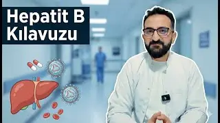 Hepatit B kılavuzu