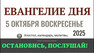 5 октября воскресеье Евангелие дня 2025 с толкованием #евангелие
