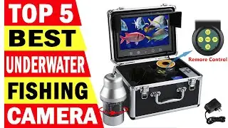 Top 5 Best Underwater Fishing Camera In 2023-2024