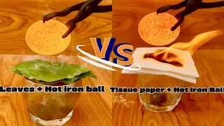 1000&deg;C Hot Metal Ball Vs tree leaves + Tissue Papers🔥#experiment#asmr #scienceexperiment#satisfying 
