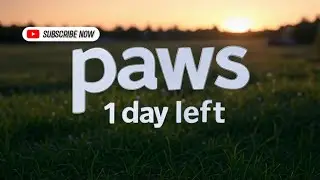 PAWS DISTRIBUTION: Allocation Checking on Bybit Exchange | How to trade paws in Bybit