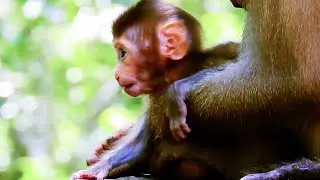 Look face baby Rainbow so sad