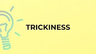 What is the meaning of the word TRICKINESS?