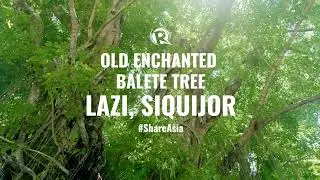 Visit Siquijor&rsquo;s Old Enchanted Balete Tree | #ShareAsia