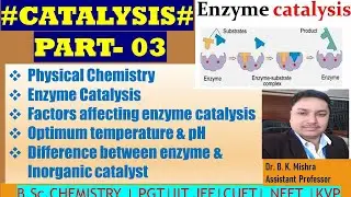 Enzyme catalysis surface chemistry | Optimum temperature & pH difference between inorganic catalysts