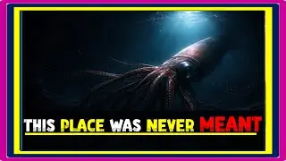 Why Giant Squids Live Where Light Has Never Existed #mysteriousfacts