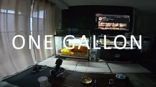 Owning A 100 Gallon Stock Tank