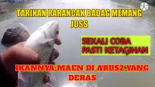 MANCING RARANCAK/LALAWAK/BADER/TAWES SIRIP MERAH DI SUNGAI SADANE VLOG 3