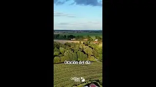 Que tu confianza descanse en la buena voluntad de Dios; ser&aacute;s testimonio del poder transformador de