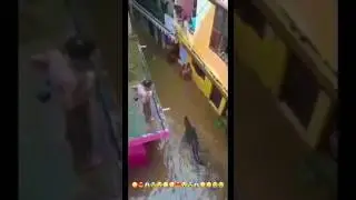 Barish Ke Pani Mein Beha kar Aaya magarmacch Gaon Me😳😭😭😨😱 #cocktail #jangal #nature #barish #janwar