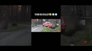 beetle rally!!! #shorts  #funny  #memecompilation #amazingpeople