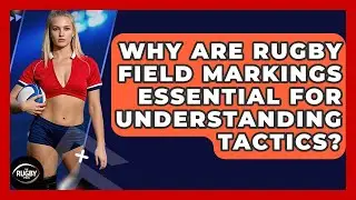 Why Are Rugby Field Markings Essential For Understanding Tactics? - The Rugby Pros