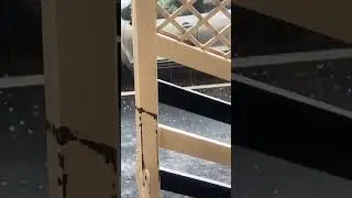 Hail storm in udaipur🌧.