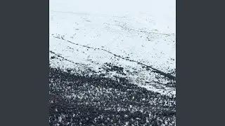 Too Late, They're Already Here