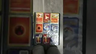My Pok&eacute;mon book