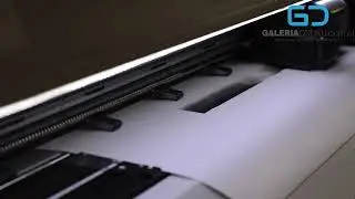 Zobacz jak drukujemy obrazy na pł&oacute;tnie Epson SC S70610, pł&oacute;tno bawełna 🖨️ | Galeria Druku