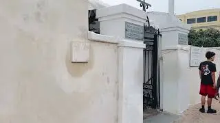 SCRATCH & STORY TIME WITH MARIE LAVEAU&hellip;a must hear #vodouqueen #neworleans