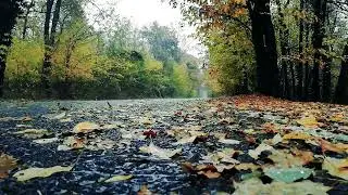Goodbye strain to fall asleep quickly within 5 minutes with relaxing rain sounds