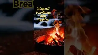 🔥 Fire & Water Harmony &ndash; 45 Seconds of Peace | #shorts