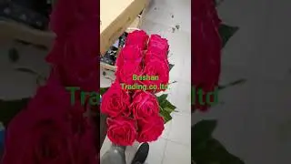 #Madam cerise#roses#flower#passion#brishan trading
