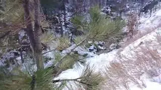 Icy Hike Up Little Elk Creek 360 View 02/02/24 #hiking #nature