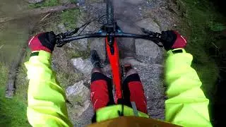 Altura trail at Whinlatter south loop