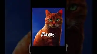Warrior cat main characters