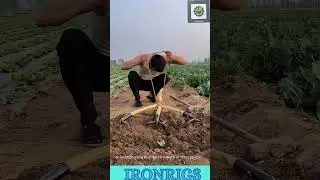 This Farmer's Invention is Next Level! 🤯#farming #skills #diygadgets #diy #innovation #shorts