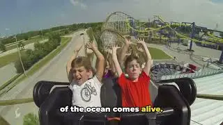 California's Top Theme Parks  A Countdown