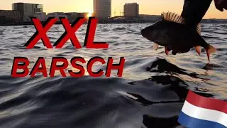 Vertikal auf Zander + XXL Barsch