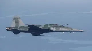 Noite Oficial dos Ovnis - Tenente Kleber - ca&ccedil;a F-5 Jambock 17 - FAB 4848
