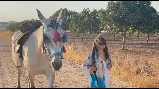 Chloe Delarosa - Mala Malita Mala