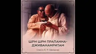 Предисловие &bull; Шри Шри Прапанна Дживанамритам &bull; Свами Б.Р. Шридхар