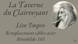 Live  : Remplacement c&acirc;bles acier Brunhilde 103  .