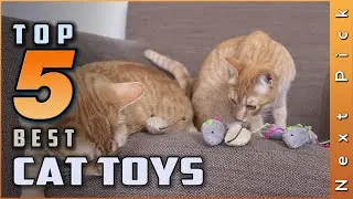 Top 5 Best Cat Toys Review | Which One Should You Buy?  [2024]
