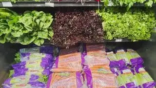 Fresh food pilot program secures funding to continue