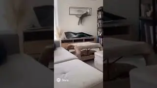 Balloon Pops&mdash;Cat Turns the Living Room Into a Parkour Zone