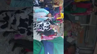 Rauhried Weibla Ersingen Meßkirch 2019