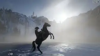 My beautiful black Arab mare in Red Dead Redemption 2