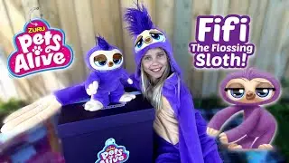 Fifi The Flossing Sloth | Are You Ready To Floss Like A Boss | Zuru Pets Alive | #FlossLikeABoss