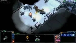 Starcraft 2: Xeyed Nascency 01 &mdash; Оценка