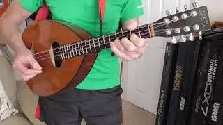 Mandola - playing the Flowers of Glasgow