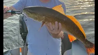 giant redfish every cast
