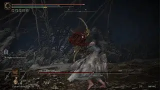 Elden Ring patch 1.06 New Waterfowl dodge