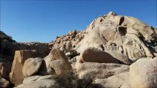JTNP