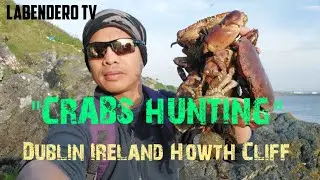 EP3 - Catching Crabs in HOWTH  Cliff, DUBLIN IRELAND.