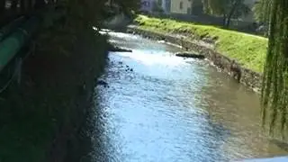 Pesem Šoštanju