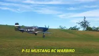 FMS 1450mm P-51B MUSTANG  RC SCALE WARBIRD. TAKES FLIGHT !