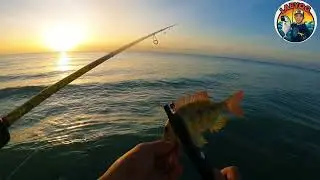 Vlog62: Humana man money hunt, Lure Hunt nasad Ang nakit an #fishing #casting #mancing #fishinglife