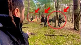 Centauros Reales Se Aparecen En Un Bosque lo Encuentran ( Centauro Real captado )
